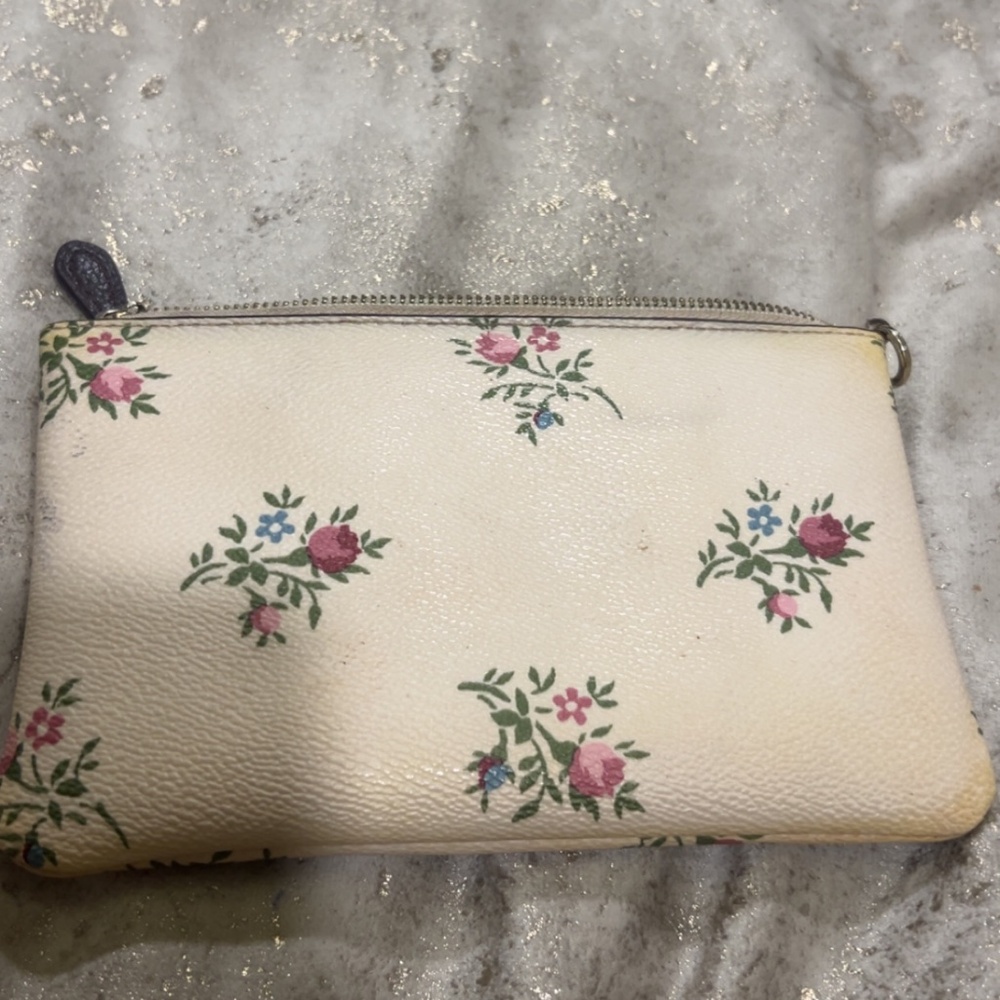 Coach Zip Pouch